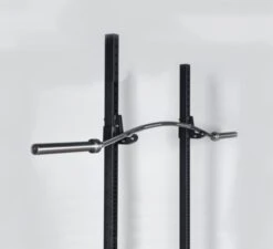 Bells Of Steel Buffalo Bar 2.0