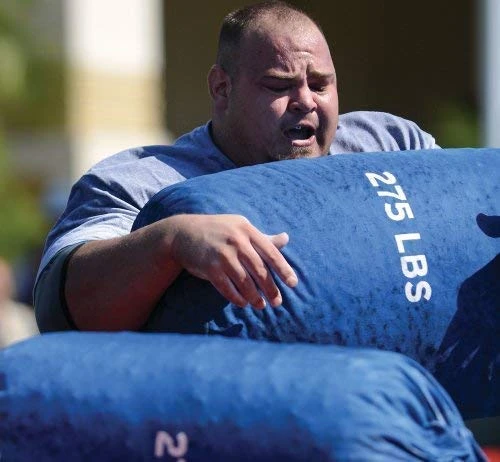 IronMind Tough-As-Nails Sandbags - Image 2