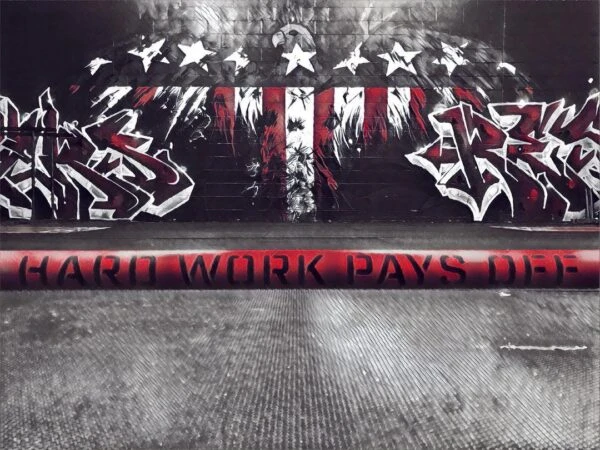 Rogue Cerakote Bella Bar โ Fraser Edition