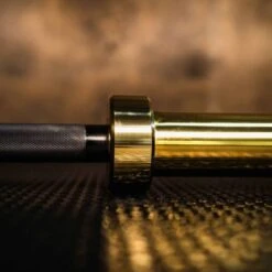 Fringe Sport Midas’ Revenge Bar 20kg