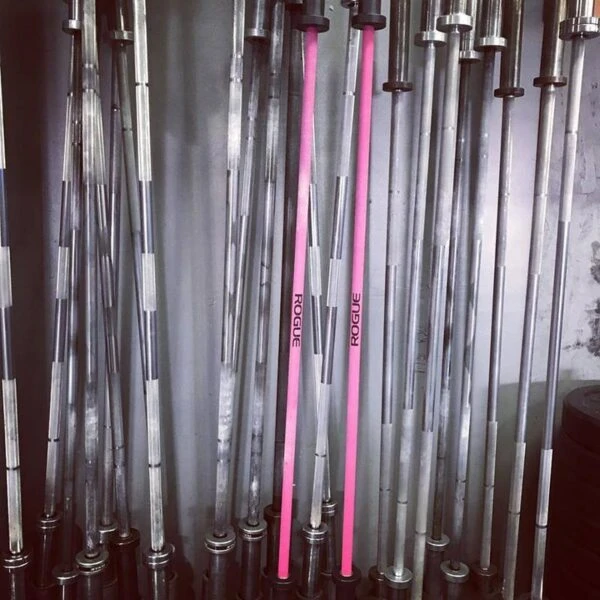 Rogue Bella Bar 2.0 β Cerakote