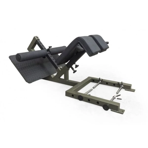 EliteFTS Professional 45 Degree Back Raise